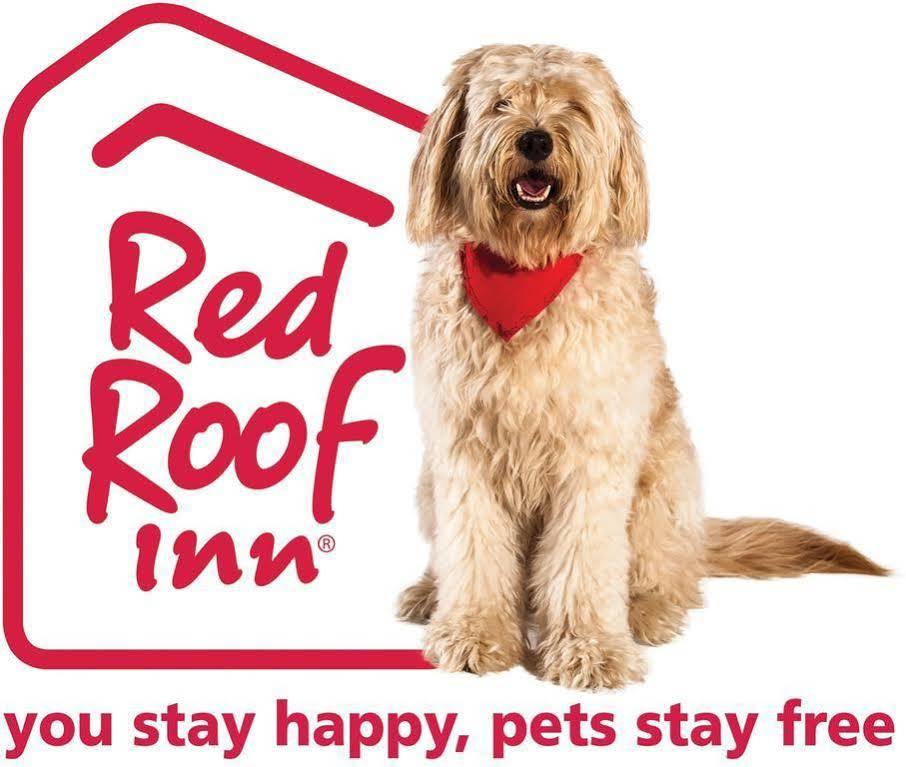 Red Roof Inn Cleveland - Mentor/ Willoughby Exterior foto